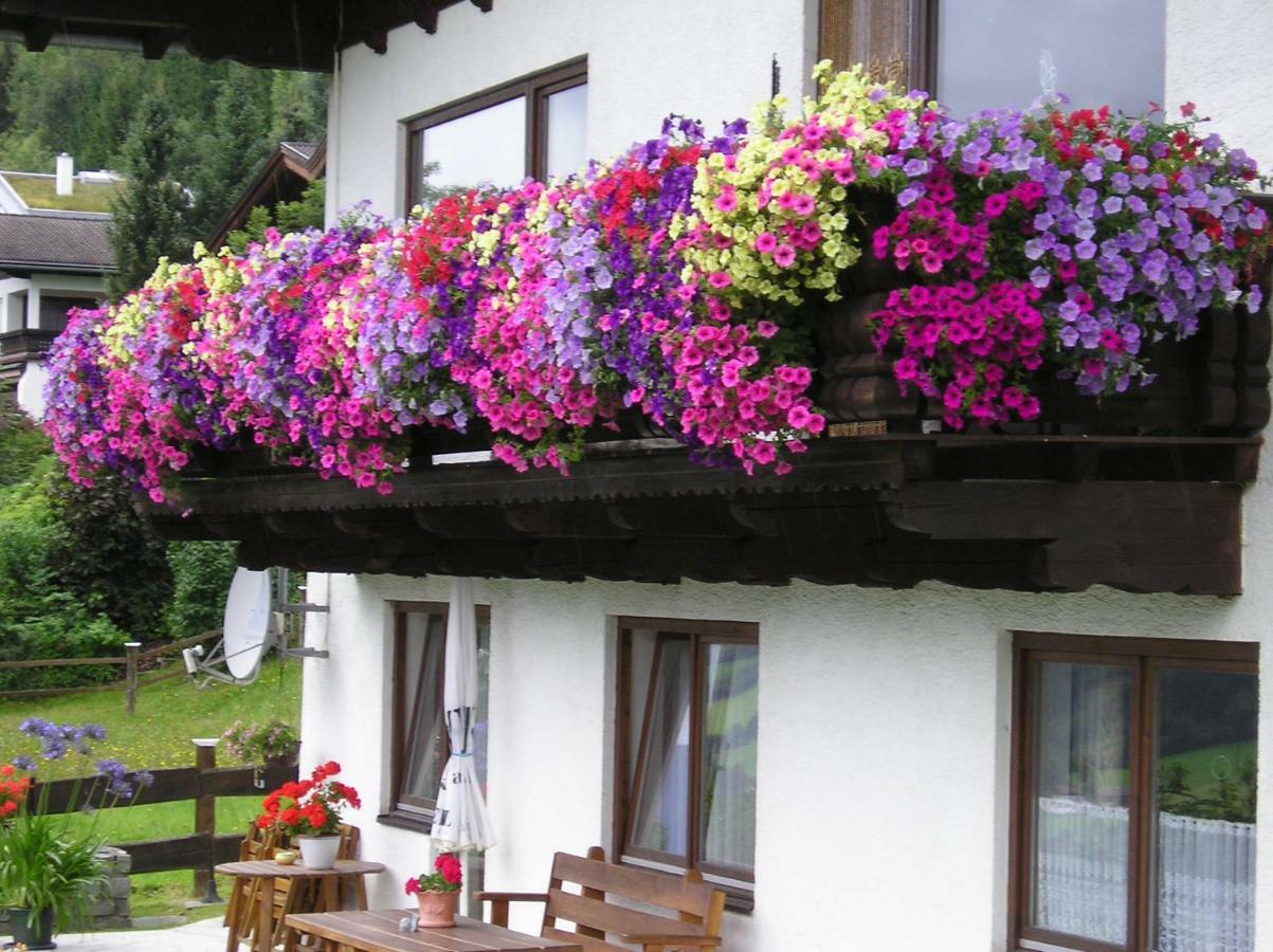 Schernthaner Taxenbach Exterior foto